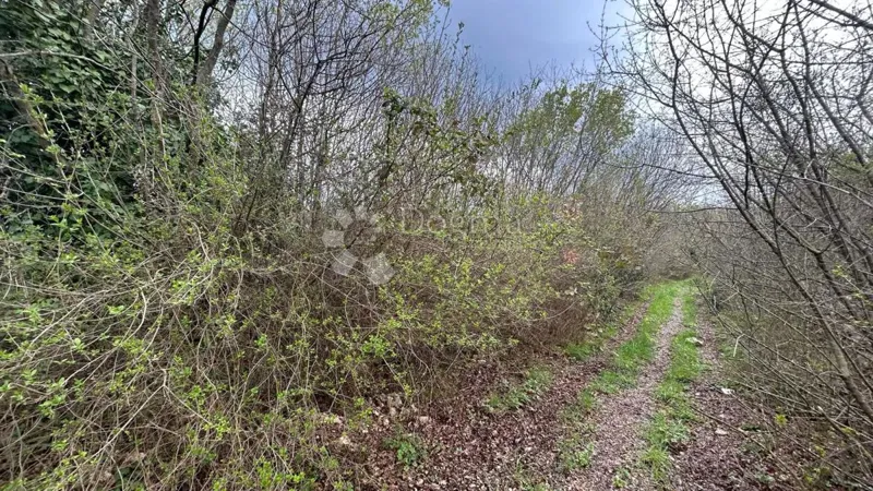 POŁĄCZONA LOKALIZACJA NAJLEPSZYCH LĄDÓW - KRNICA – 2