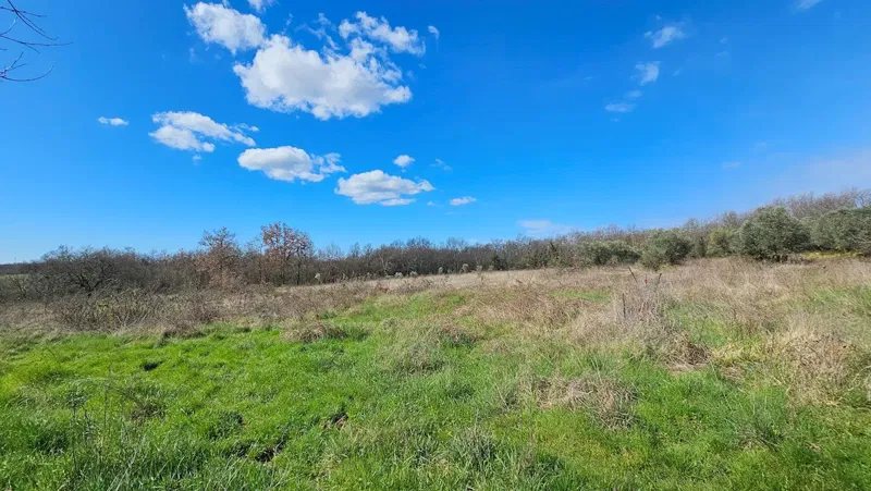 Real estate Istria, building land on sale, near Umag – 3