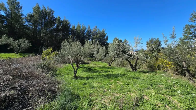 Pozemek Podstrana