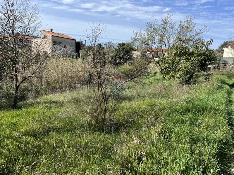 Telek Pula – 3