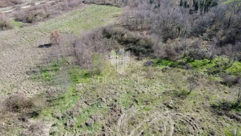 Parenzo – Dintorni – Terreno Edificabile in Posizione Tranquilla – 2