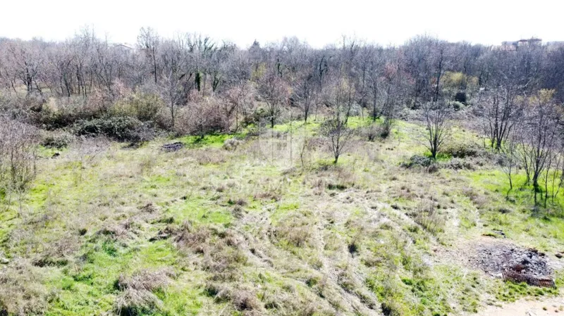 Parenzo – Dintorni – Terreno Edificabile in Posizione Tranquilla – 3