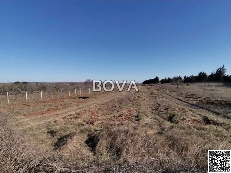 Poljoprivredno zemljište 6427 m2 – Smilčić *Uz javnu prometnicu* (ID-2524/E)