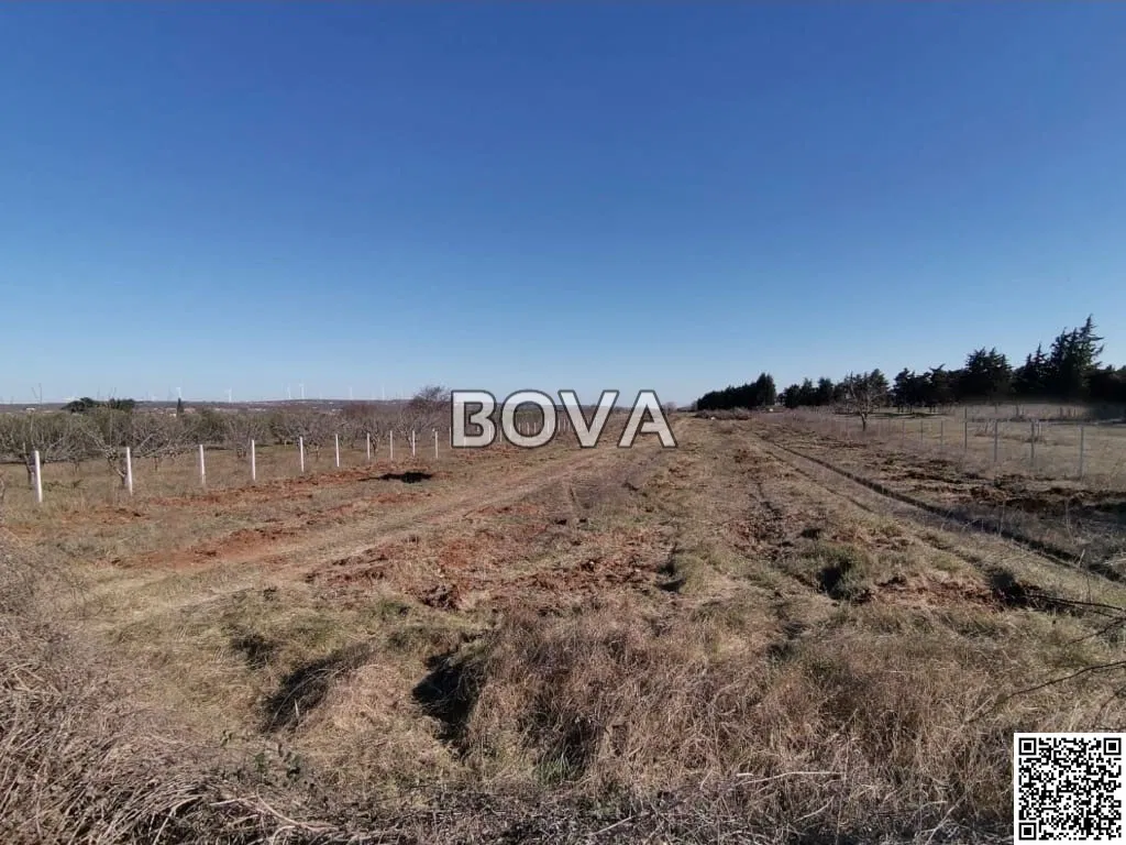 Poljoprivredno zemljište 6427 m2 – Smilčić *Uz javnu prometnicu* (ID-2524/E)