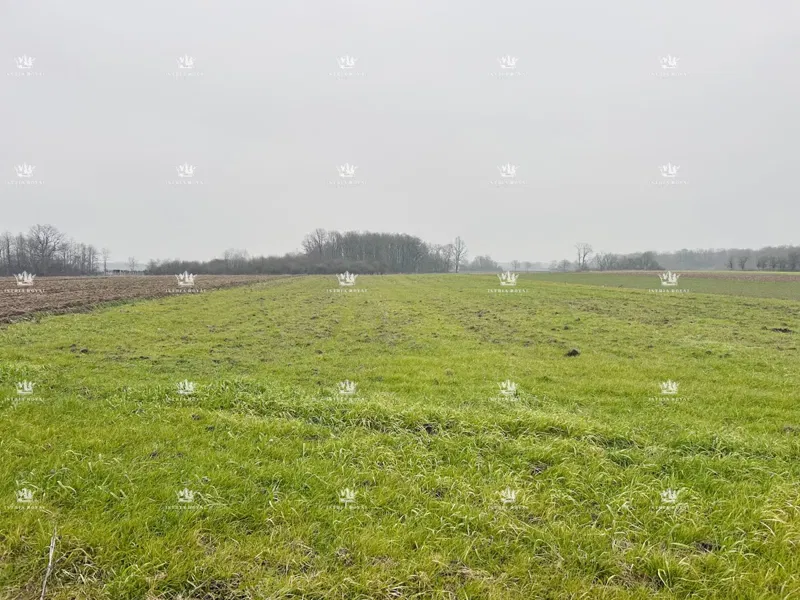 Slavonija, Ruščica, Slavonski Brod, construction plot 3500m2, land under special state care. – 3