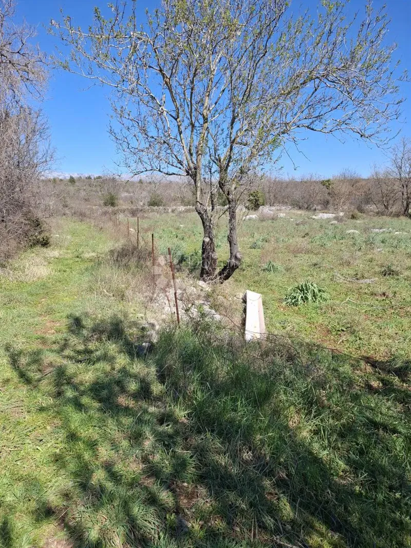Terreno edificabile Slivnica, Posedarje, 2.000m2 – 3