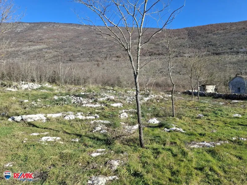 Telek Kožljak – 2