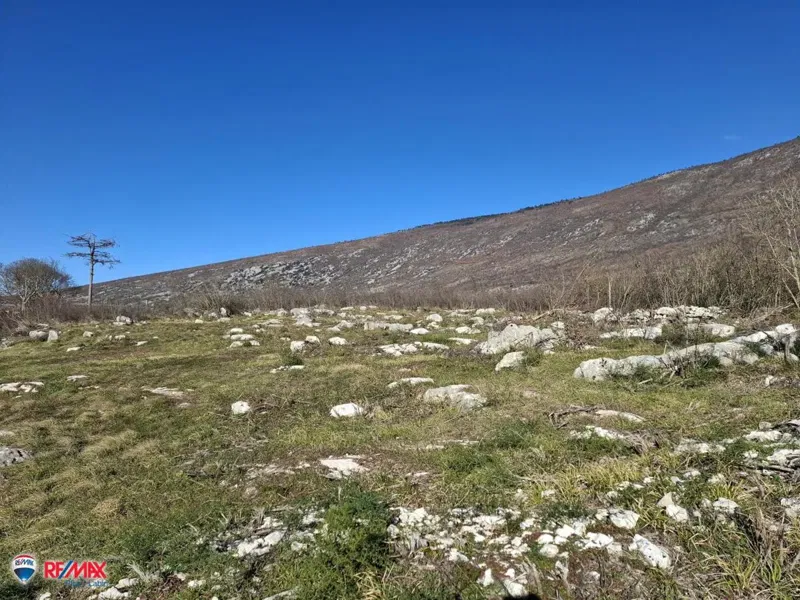 Telek Kožljak – 3
