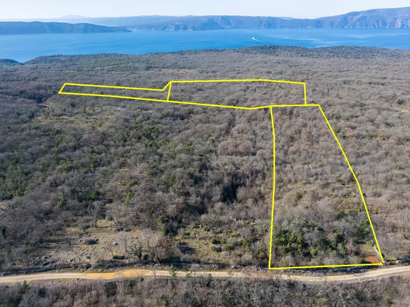 Ampio terreno agricolo di 46.116 m² in un ambiente naturale di Krka e Vrha. – 2