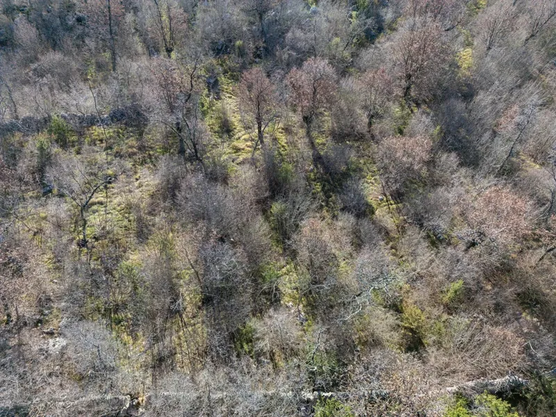 Ampio terreno agricolo di 46.116 m² in un ambiente naturale di Krka e Vrha. – 3