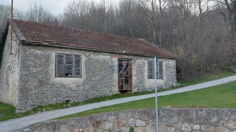 Dom Lipa – 2