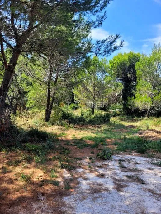 Medulin, građevinsko zemljište okruženo zelenilom, pogled more, 1,5 km od plaže – 2