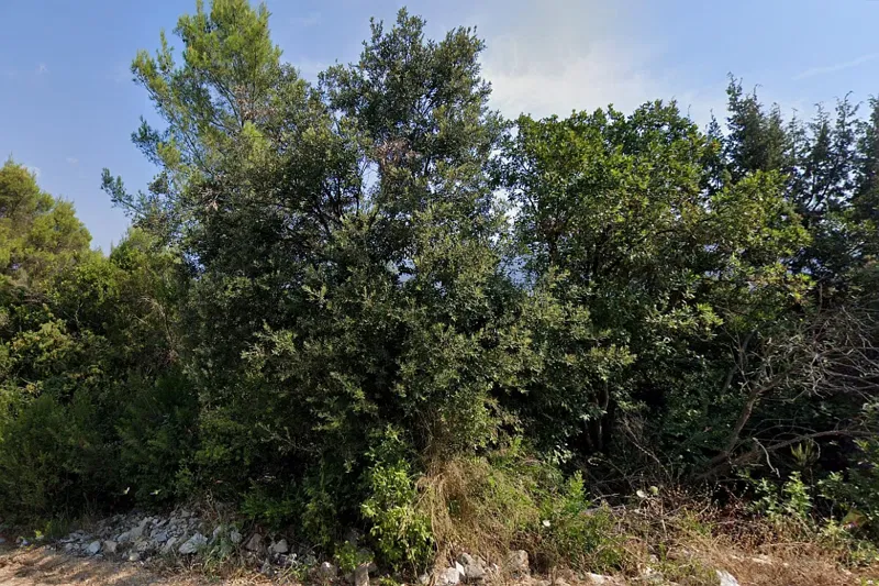Terreno edificabile con vista mare – 2