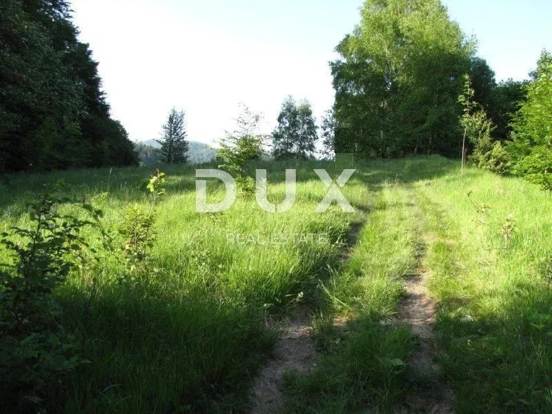GORSKI KOTAR, FUŽINE - building land (rural tourism facilities) 4762 m2 with preliminary design, reduced price, 15 EUR m2, TOP OPPORTUNITY!!!! – 3