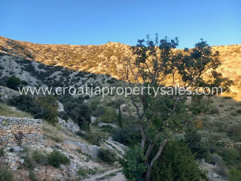 Brac, agricultural land for sale, 800.000 € – 3