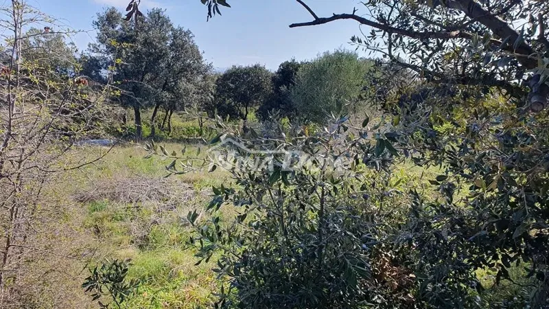 Land Vir – 2