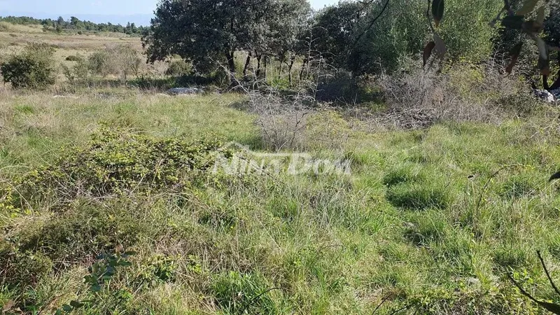 Land Vir – 3