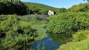 Istra, Rebići, Barban, vendita complesso di case con ampio giardino, stancija, antico, casa in pietra - Ideale per investimento! – 3