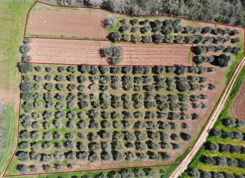 Terreno agricolo Poreč, 8.571m2 – 2