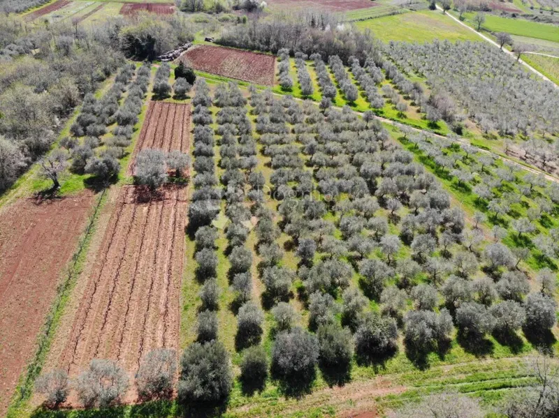 Terreno agricolo Poreč, 8.571m2 – 3