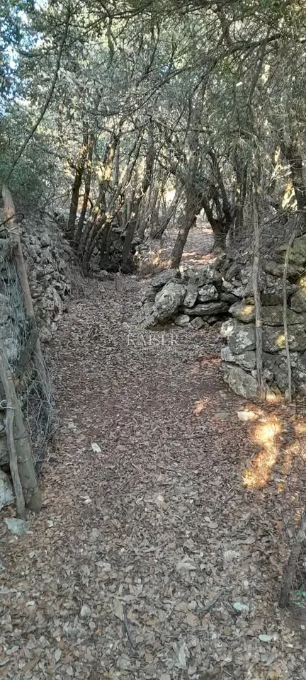 Cherso, baia Meli, terreno agricolo in riva al mare – 3