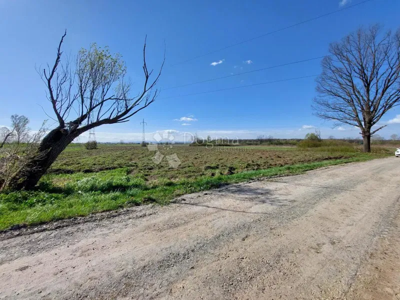 Agricultural land Novska, 7.411m2 – 2
