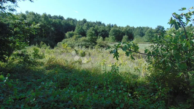 Föld Mrgani, Kanfanar, 2.889m2 – 2