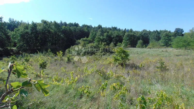 Föld Mrgani, Kanfanar, 2.889m2 – 3