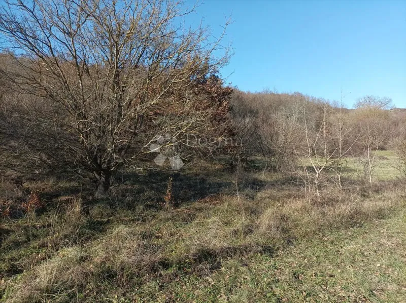 Terreno Mrgani, Kanfanar, 2.889m2 – 2