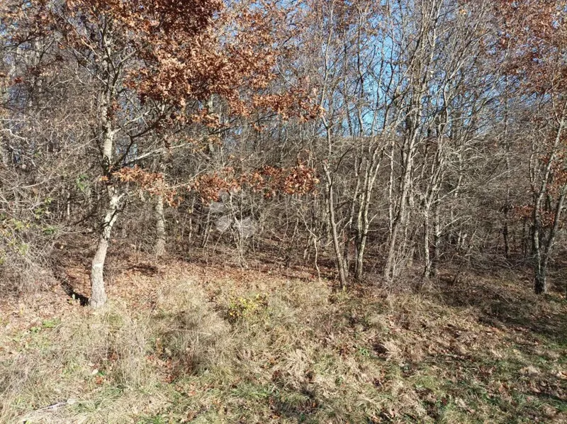 Terreno Mrgani, Kanfanar, 2.889m2 – 3