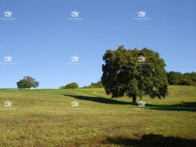 Istria, Motovun, sale of building land of 1,900 m2 and agricultural land of 16,637 m2, construction of a farmhouse, villa, infrastructure nearby. – 2