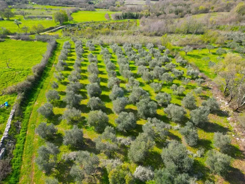 Terreno non edificabile Sošići, Kanfanar, 4.000m2 – 2