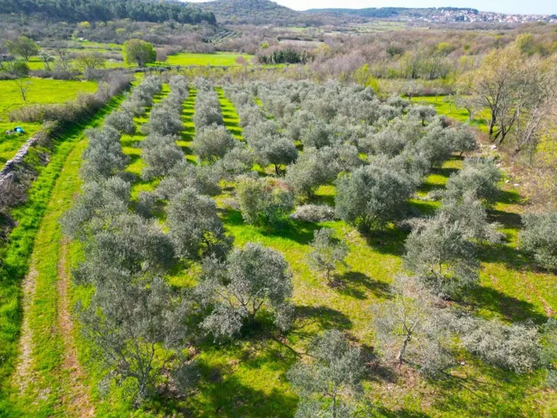 Terreno non edificabile Sošići, Kanfanar, 4.000m2 – 3