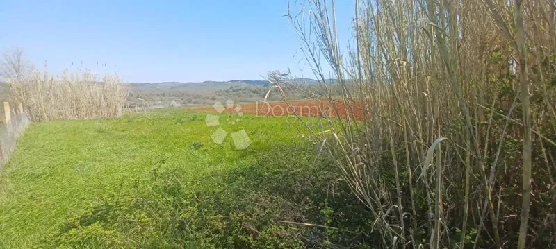 Agricultural land Nova Vas, Poreč, 4.090m2 – 2