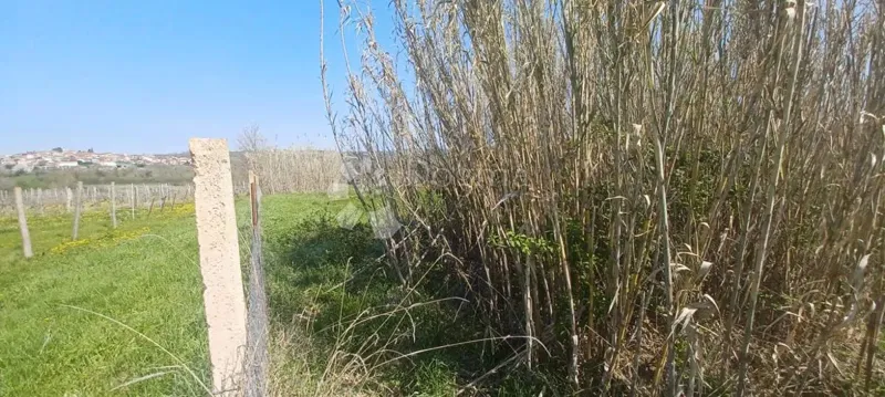 Agricultural land Nova Vas, Poreč, 4.090m2 – 3