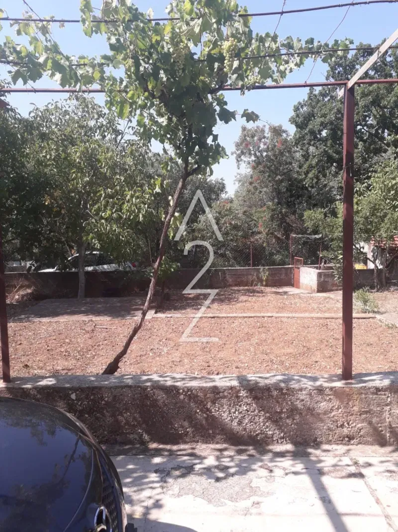 Casa Bilice – 3