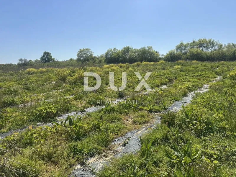 ZADAR, MURVICA - Agricultural land with potential - 3000m² – 2