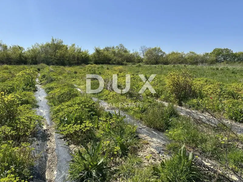ZADAR, MURVICA - Agricultural land with potential - 3000m² – 3