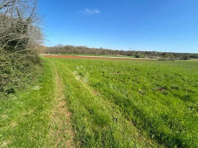 Terreno agricolo Nova Vas, Brtonigla, 7.870m2 – 2