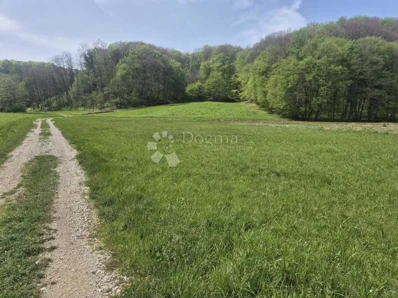 Agricultural land Luka, 12.811m2