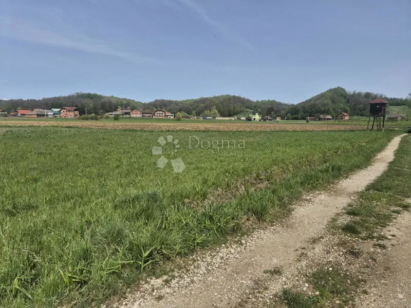 Ziemia rolna Luka, 12.811m2 – 3