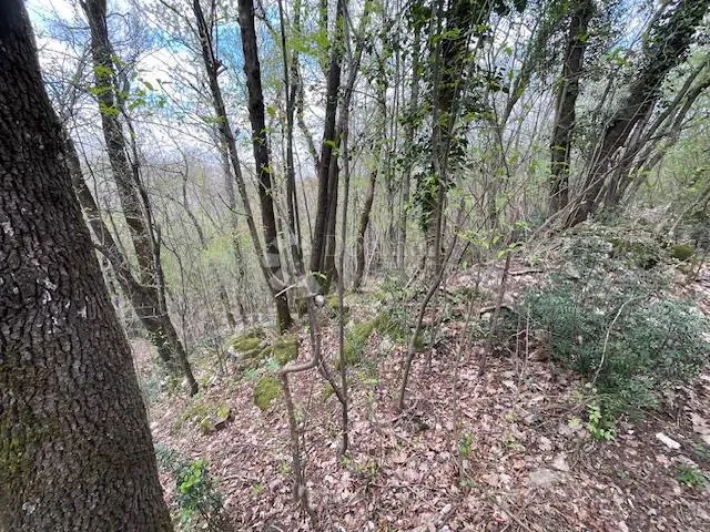 Teren budowlany Matulji, 10.471m2 – 2
