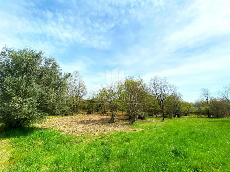 Land Poreč, 2.200m2 – 3