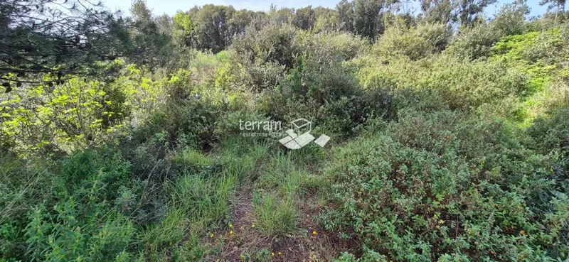 Terreno Pješčana Uvala – 2