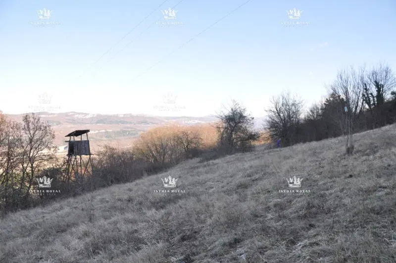 Land Buzet – 3