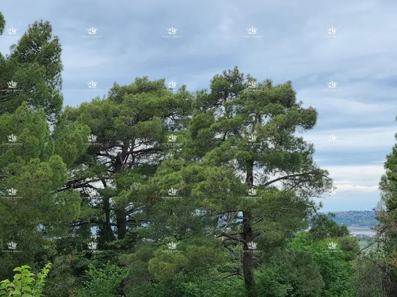 Istria, Buje, Kaštel, sale of building land with an open sea view. – 2