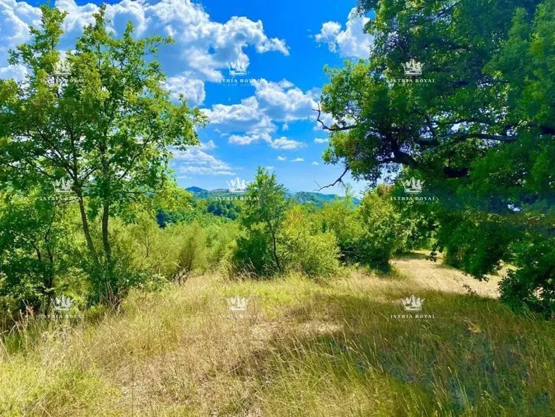 Telek Draguć – 3