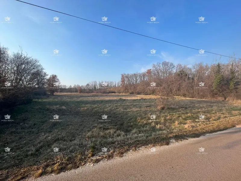 Novigrad, Dajla, Fiorini, sale of building land, 4973m2. – 2