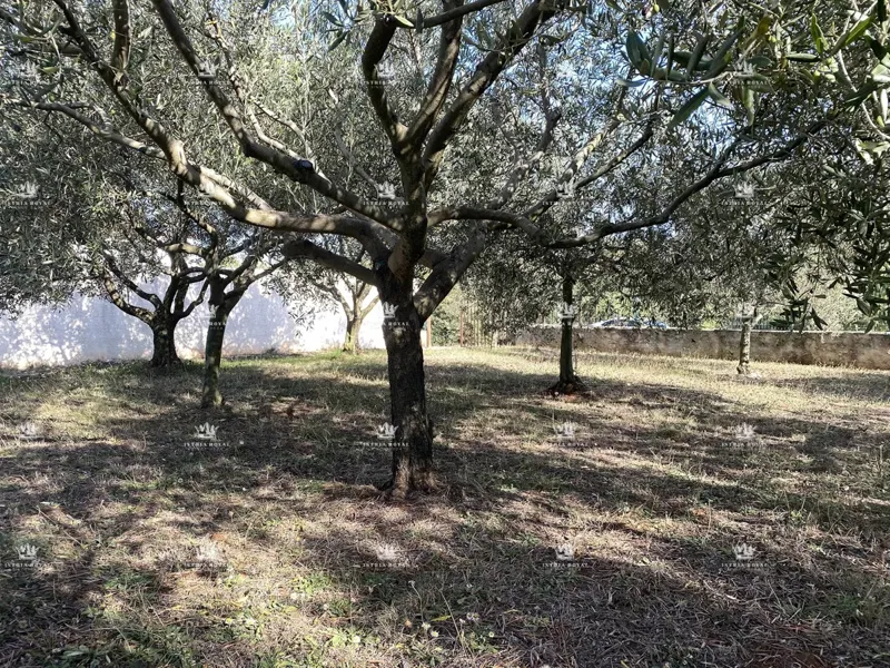 Istria, Pomer, building land 500m2, 100 meters from the sea. – 3