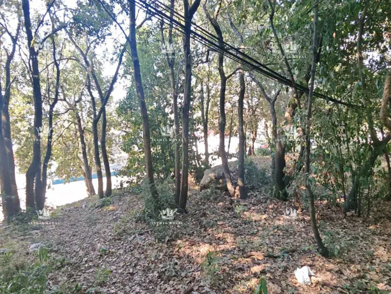 Istria, Pula, Marina Veruda, land by the sea (forest). – 3